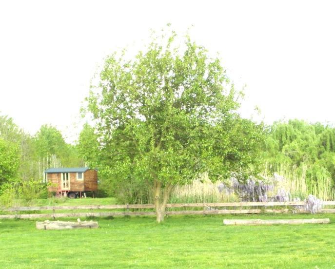 Casetta Sul Lago Albairate Eksteriør bilde